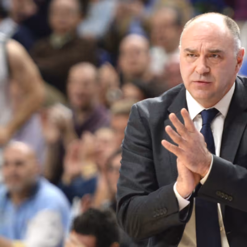 Pablo Laso, entrenador del Real Madrid, en 2014.