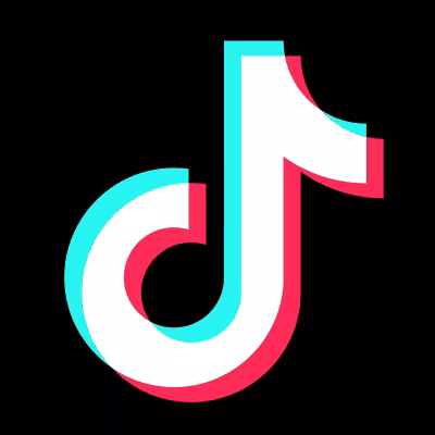 TikTok, una de las plataformas más usadas en la actualidad