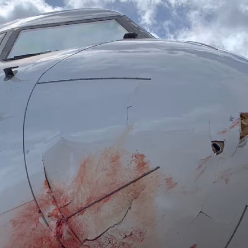 Susto tremendo de los Jazz con aterrizaje de emergencia incluido: "El avión parecía que se partía en el aire"