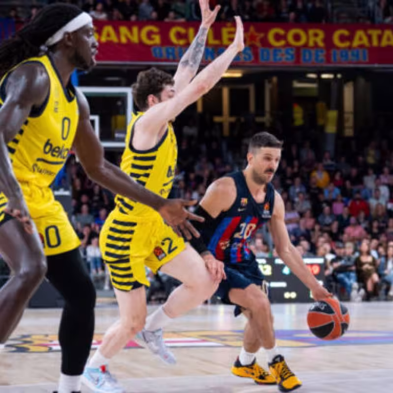 Fenerbahce - FC Barcelona