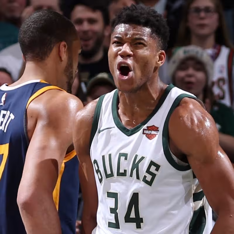 Rudy Gobert y Giannis Antetokounmpo, los dos mejores jugadores del NBA Draft 2013