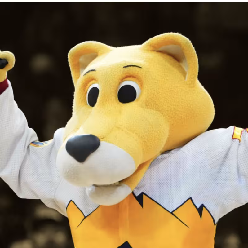 Rocky, la mascota de Denver Nuggets, no está para juegos. 