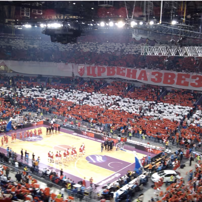 We tell you about the sanctions in the Serbian derby of the Euroleague.