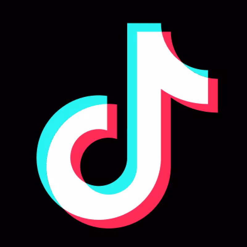 TikTok, una de las plataformas más usadas en la actualidad