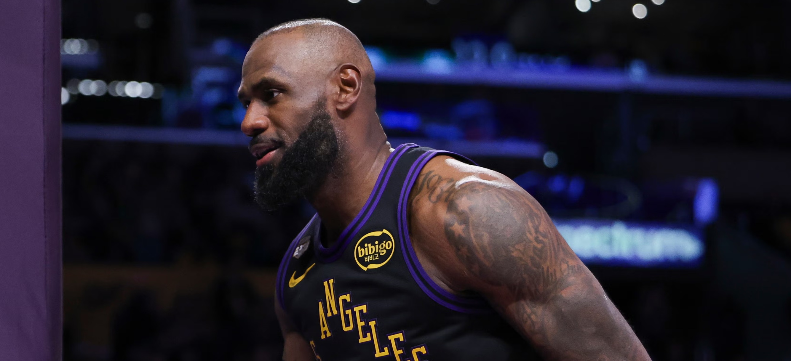 LeBron James, Los Angeles Lakers player.