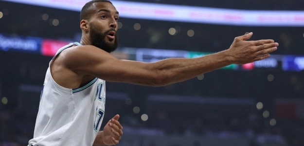 Rudy Gobert