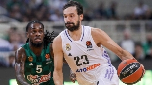 Sergio Llull, jugador del Real Madrid