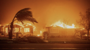 La ciudad de Los Angeles está sufriendo graves incendios.