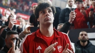 Milos Teodosic vuelve a la élite del baloncesto como directivo en el Estrella Roja
